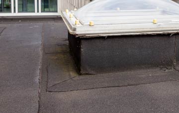 disadvantages of Liddeston flat roofs